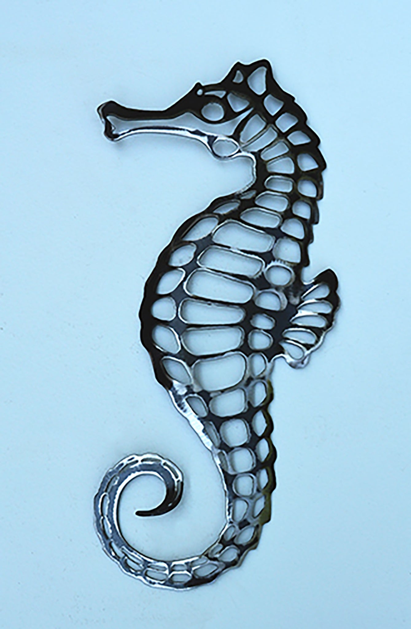 /cdn/shop/files/Seahorse