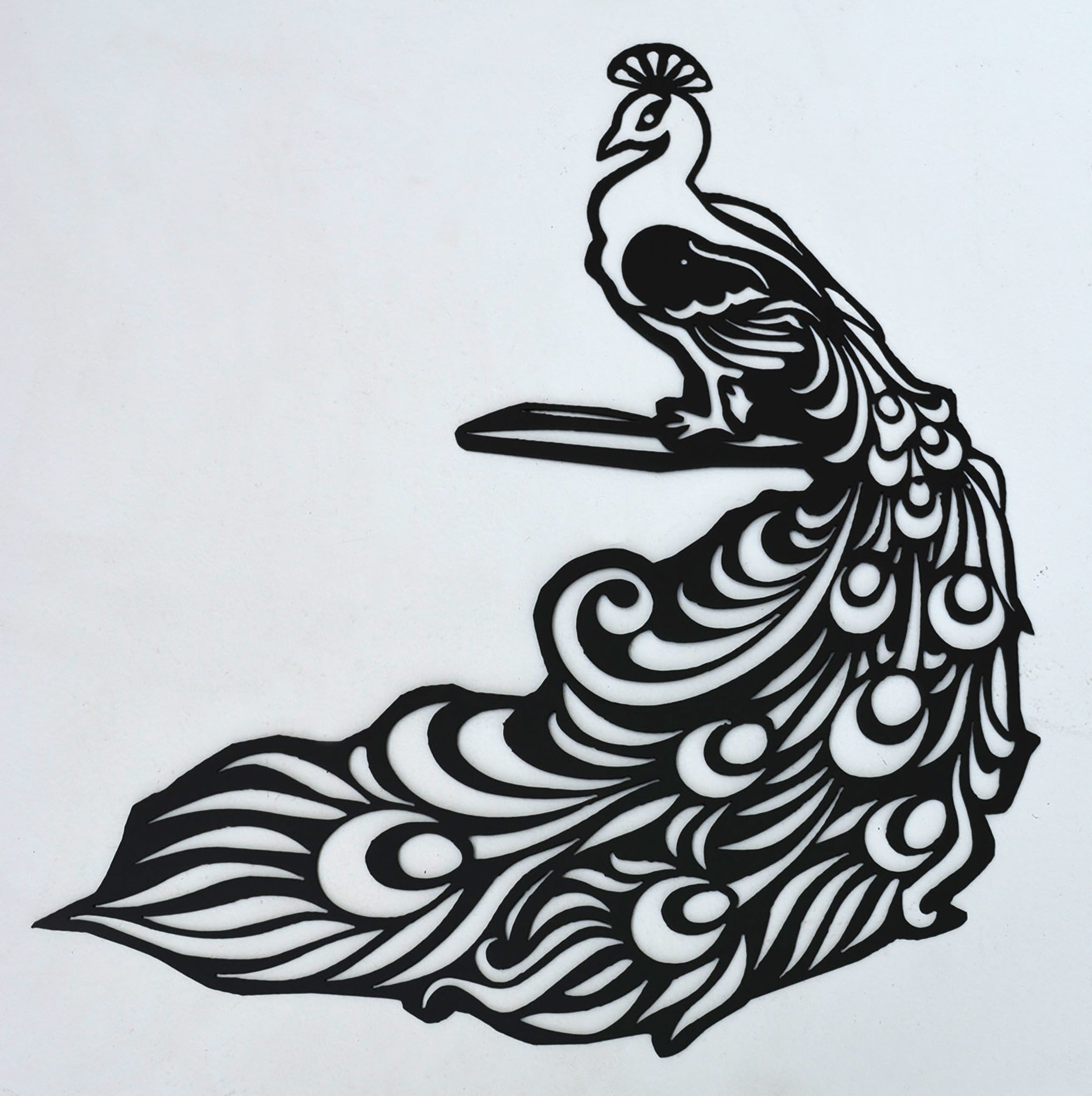 Peacock Drawing by Susan Gary - Fine Art America